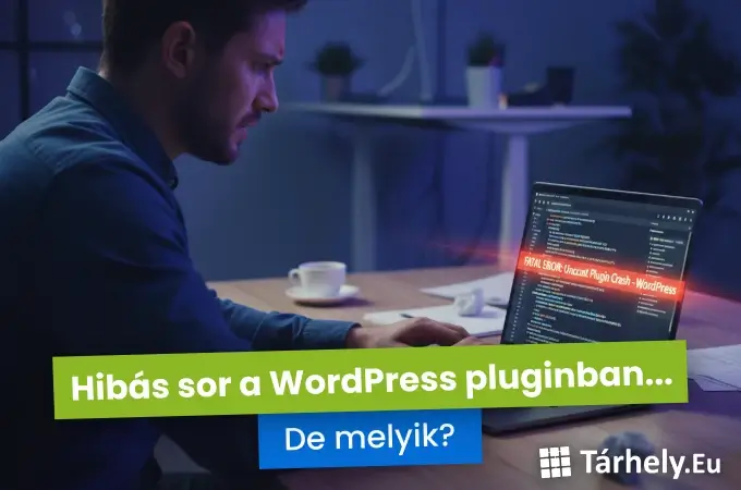 Hibás sor a WordPress pluginban - De melyik